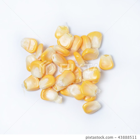corn isolated on white background 43888511