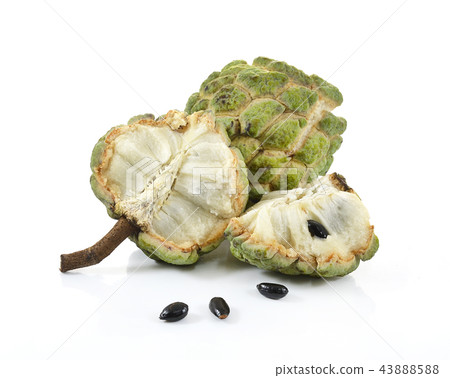 Custard apple isolated on white background,annona 43888588