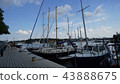 sweden 43888675