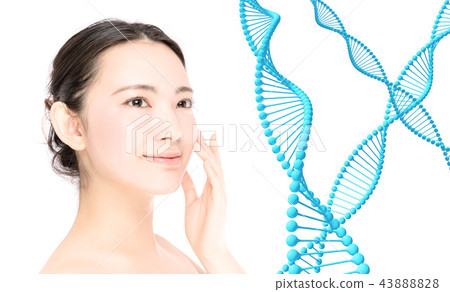 Beauty and DNA 43888828