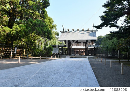 Miyazaki Jingu in the early summer 43888908
