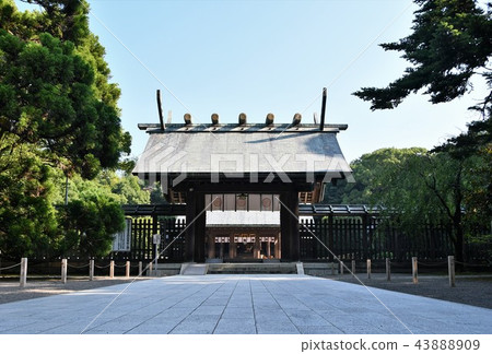 Miyazaki Jingu in the early summer 43888909