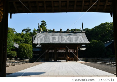 初夏的宮崎金谷 初夏的宮崎金谷 43888913