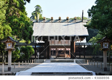 Miyazaki Jingu in the early summer 43888936