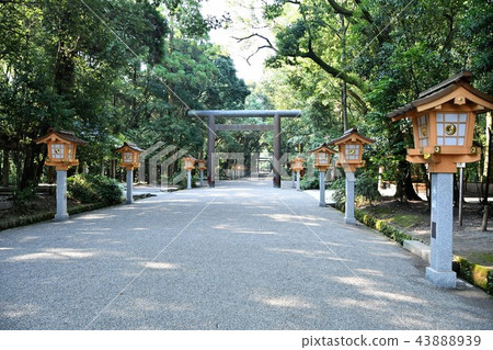 初夏的宮崎金谷 初夏的宮崎金谷 43888939