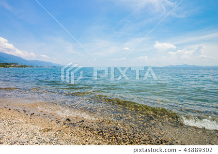 琵琶湖在夏天 43889302