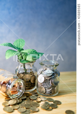 Plant growing in coin jar. Saving money concept Plant growing in coin jar. Saving money concept 43889385