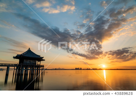 浮動的黎明 43889628