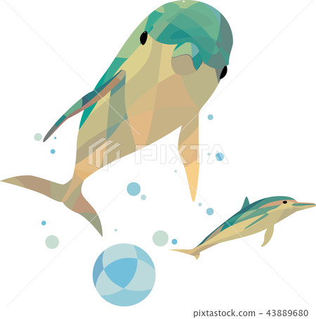 Aquarium dolphin Aquarium dolphin 43889680