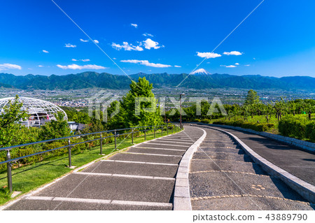 <山梨>從笛吹河水果公園看富士山 43889790