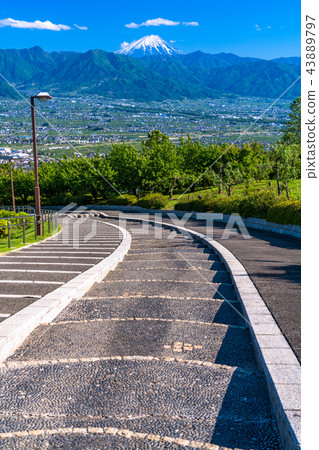 <山梨>從笛吹河水果公園看富士山 43889797