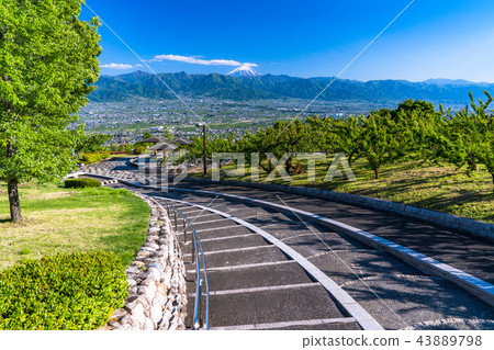 <山梨>從笛吹河水果公園看富士山 <山梨>從笛吹河水果公園看富士山 43889798