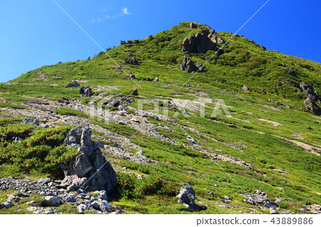 The way to the southern alps Mitsudake The mountains in the southern part of the southern alps seen from the vertical runway The way to the southern alps Mitsudake The mountains in the southern part of the southern alps seen from the vertical runway 43889886