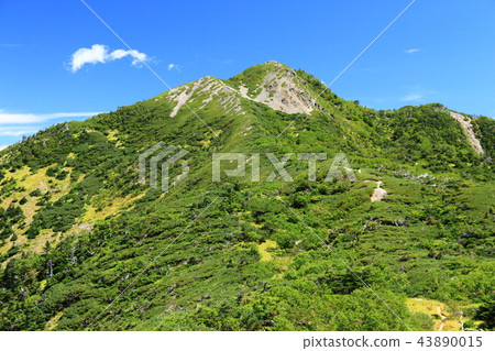A path to the Southern Alps Mitsukake (Tateri only) A path to the Southern Alps Mitsukake (Tateri only) 43890015