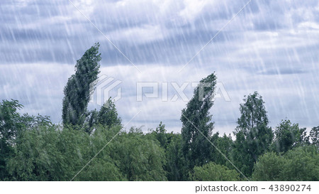 Rainy day landscape Rainy day landscape 43890274