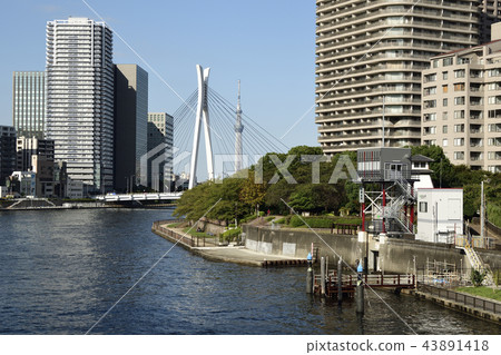 東京都中央區[秋天] um田川和高層公寓 43891418