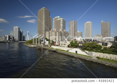 東京都中央區[秋天] um田川和高層公寓 43891421