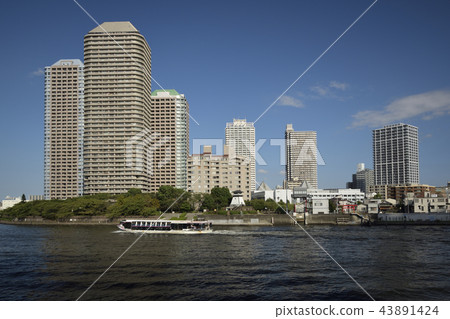 東京都中央區[秋天] um田川和高層公寓 43891424
