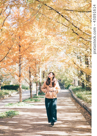 Metasequoia tree-lined tree and woman Metasequoia tree-lined tree and woman 43891614