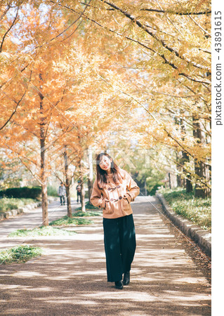 Metasequoia tree-lined tree and woman Metasequoia tree-lined tree and woman 43891615