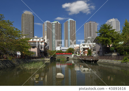 Chuo-ku, Tokyo [Autumn] Tsukushima Park and Tsukubori 43891616