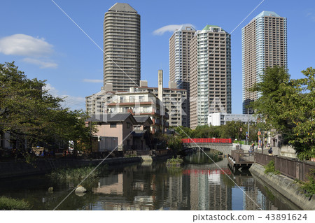 東京都中央區[秋天]築島公園和筑波 43891624