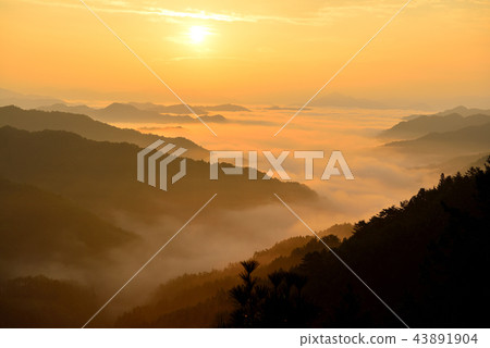 Sea of clouds in Nosakogawa village Sea of clouds in Nosakogawa village 43891904