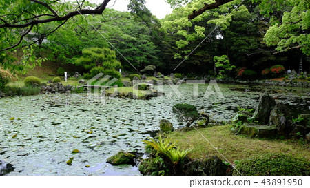 Fukue Island·Ishida Castle Goto Garden 2017 Part 13 Fukue Island·Ishida Castle Goto Garden 2017 Part 13 43891950