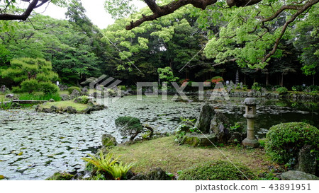 Fukue Island·Ishida Castle Goto Garden 2017 Part 14 Fukue Island·Ishida Castle Goto Garden 2017 Part 14 43891951