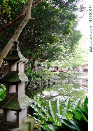 Fukue Island·Ishida Castle Goto Garden 2017 part 35 Fukue Island·Ishida Castle Goto Garden 2017 part 35 43891974