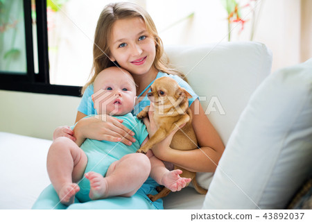 elder sister make foto younger brother chihuahua 43892037