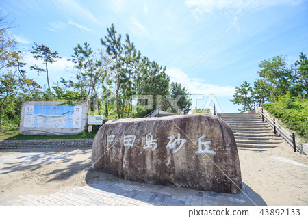 Nakadashima沙丘 Nakadashima沙丘 43892133
