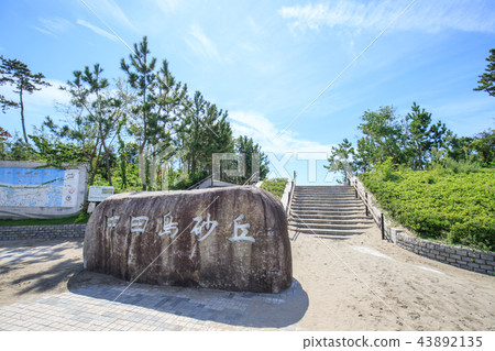 Nakadashima sand dune Nakadashima sand dune 43892135