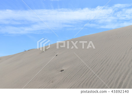 Nakadashima沙丘 43892140