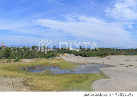 Nakadashima沙丘 43892142