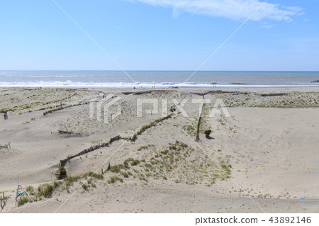 Nakadashima sand dune Nakadashima sand dune 43892146