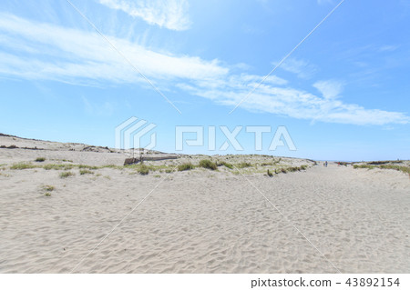 Nakadashima sand dune Nakadashima sand dune 43892154