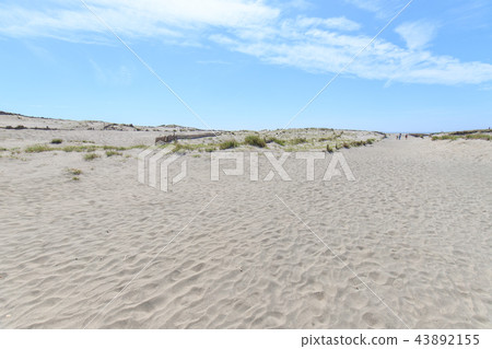 Nakadashima沙丘 43892155