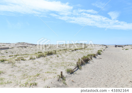 Nakadashima sand dune Nakadashima sand dune 43892164
