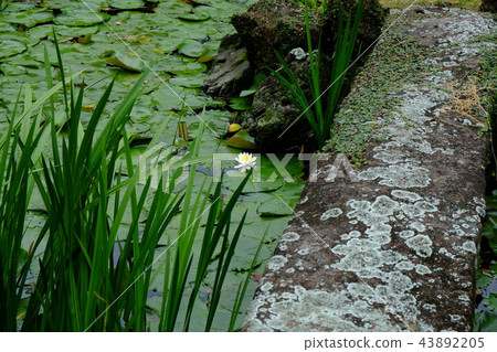 Ishida Castle Goto Garden 2017 Part 14 Ishida Castle Goto Garden 2017 Part 14 43892205