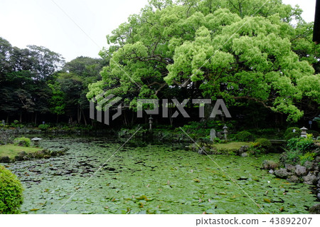 Ishida Castle Goto Garden 2017 Part 16 Ishida Castle Goto Garden 2017 Part 16 43892207