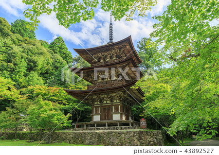 Saige-ji 43892527