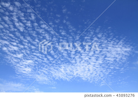Autumn sky high cumulus 43893276
