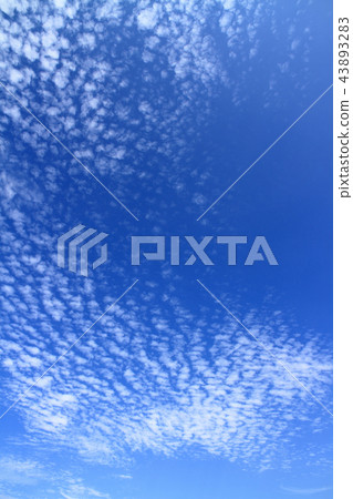 Autumn sky high cumulus 43893283