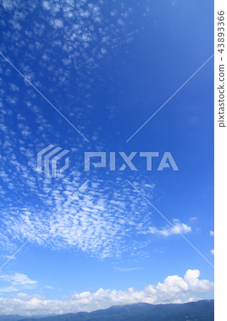 Autumn sky high cumulus Autumn sky high cumulus 43893366