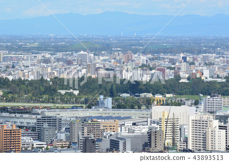Triangle Mountain Outlook Sapporo City 43893513