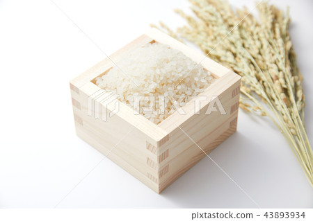 Rice Rice 43893934