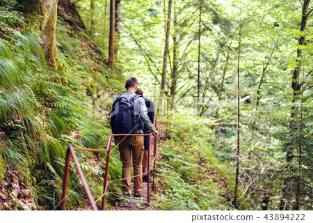 Friends hiking in Fagaras Mountains Friends hiking in Fagaras Mountains 43894222