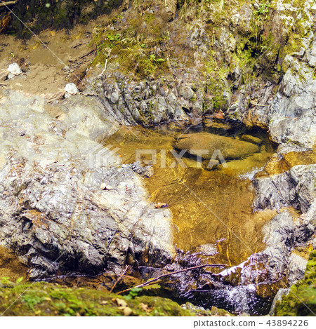 Small pond in Fagaras Mountains Small pond in Fagaras Mountains 43894226