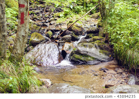 Small pond in Fagaras Mountains Small pond in Fagaras Mountains 43894235